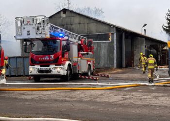 Pożar hali w Pawłowie. Pracowita wigilia strażaków