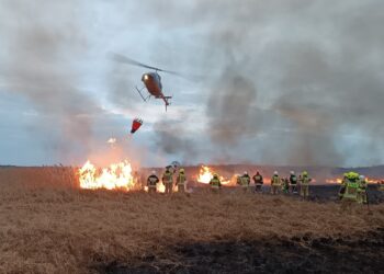 Kolejny pożar w Biebrzańskim Parku Narodowym. Kolejne umorzenie
