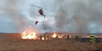 Kolejny pożar w Biebrzańskim Parku Narodowym. Kolejne umorzenie