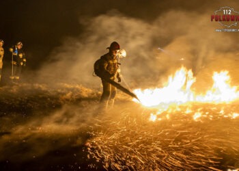 Wyższe kary za wypalanie traw. Ustawa podpisana przez prezydenta