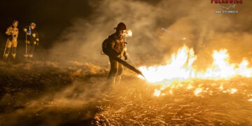 Wyższe kary za wypalanie traw. Ustawa podpisana przez prezydenta