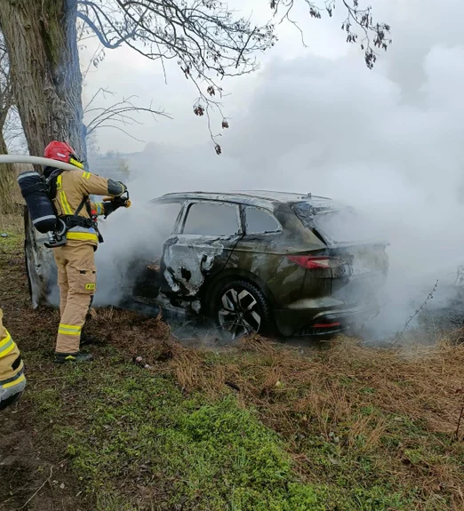 Uderzył elektrykiem w drzewo. Śmiertelny wypadek w Bielawach