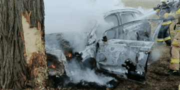 Uderzył elektrykiem w drzewo. Śmiertelny wypadek w Bielawach