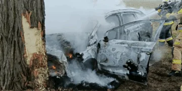 Uderzył elektrykiem w drzewo. Śmiertelny wypadek w Bielawach