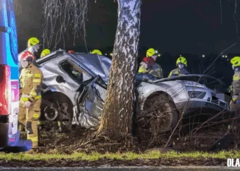 Tragedia na DW-455. W wypadku zginęły dwie osoby