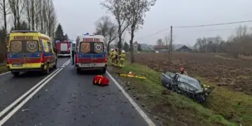  Śmiertelny wypadek na DK79 w Winiarach Dolnych