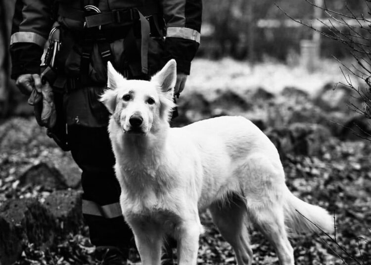 foto. fb/GPR OSP Goszcza