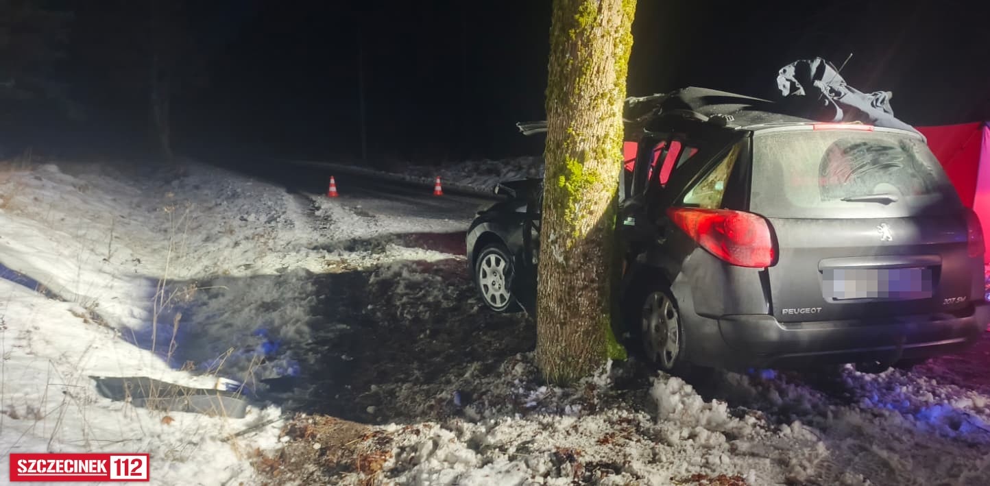 Osobówka roztrzaskała się na drzewie. Nie żyją dwie osoby