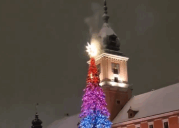 Sylwestrowe pożary choinek w Warszawie i Poznaniu