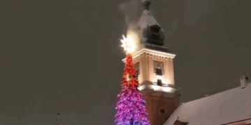 Sylwestrowe pożary choinek w Warszawie i Poznaniu