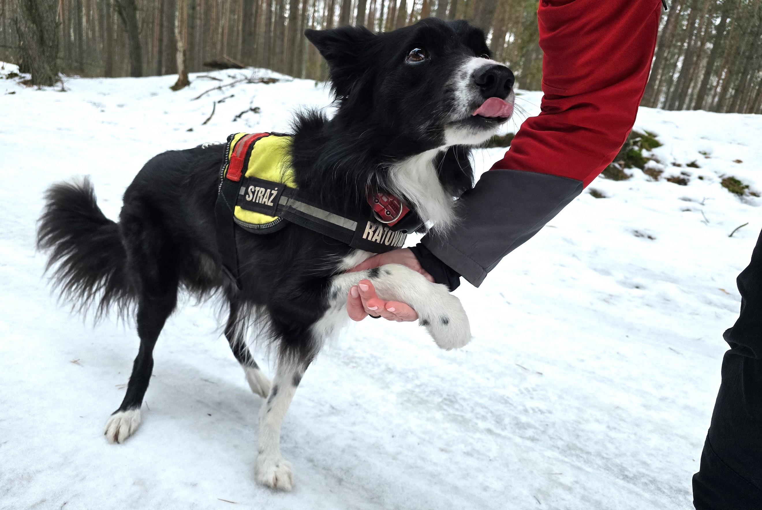 Fresh i Cha-cha wsparciem dla SGPR ŁÓDŹ