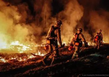 W Centralnym Odwodzie Operacyjnym powstaną nowe plutony