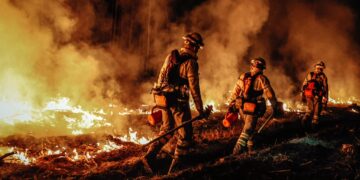 W Centralnym Odwodzie Operacyjnym powstaną nowe plutony