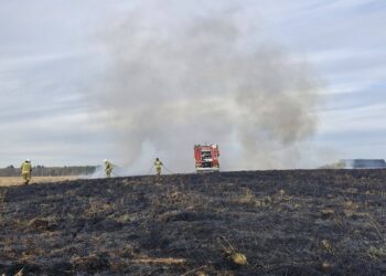 Duży pożar traw w Dobrej. Spłonęło kilkanaście hektarów