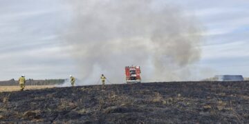Duży pożar traw w Dobrej. Spłonęło kilkanaście hektarów