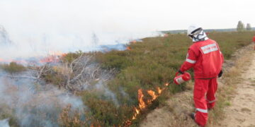 W Instytucie Badawczym Leśnictwa powstał zespół FireTeam