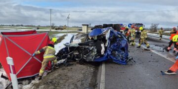 Tragiczny wypadek na drodze wojewódzkiej nr 645