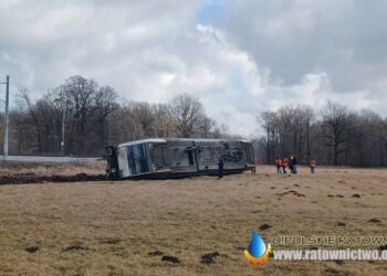 Wykolejenie lokomotywy. Służby podały przyczynę