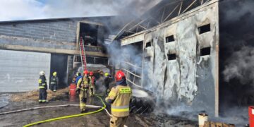 Duży pożar w Grójcu Małym. Uratowano sto byków