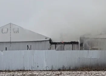 Pożar hali w Mogilnie. Trwa akcja gaśnicza