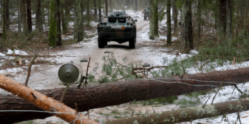 Żołnierze, leśnicy i strażacy na wspólnym szkoleniu z wykonywania zapór inżynieryjnych