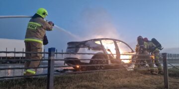 Pożary elektryków w 2025 roku. ‘Marginalna część’