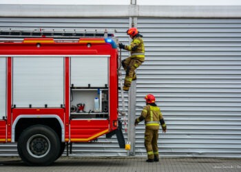 Automatycznie zapisany szkic