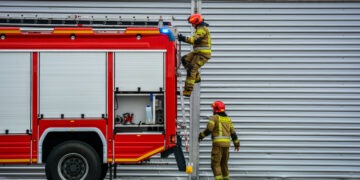 Automatycznie zapisany szkic