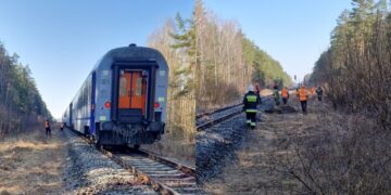 Pociąg uderzył w żubry. Zwierzęta nie przeżyły