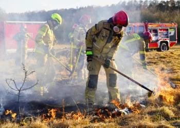 Pożary na terenach niezurbanizowanych. Powstał nowy program szkolenia