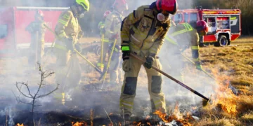 Pożary na terenach niezurbanizowanych. Powstał nowy program szkolenia