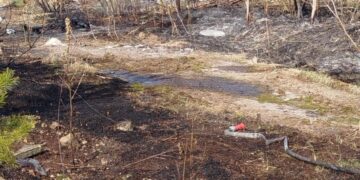 Stracił życie podczas wypalania traw. Tragedia w Pionkach