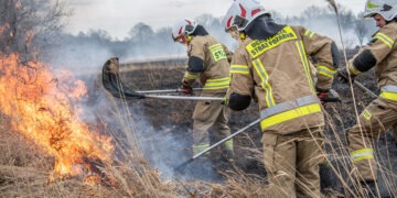 Rozległy pożar traw w Jędrzychowie
