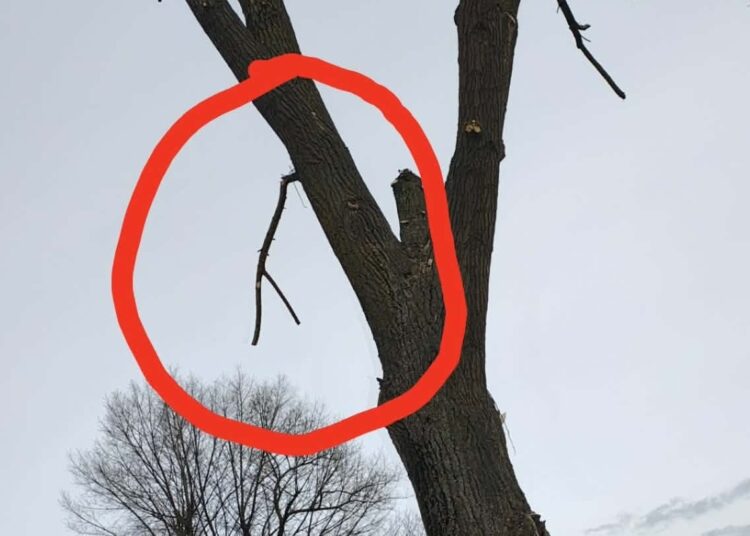 foto. OSP Modliszewo