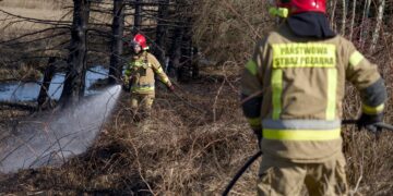 To był pracowity weekend strażaków. Płonęły trawy i lasy