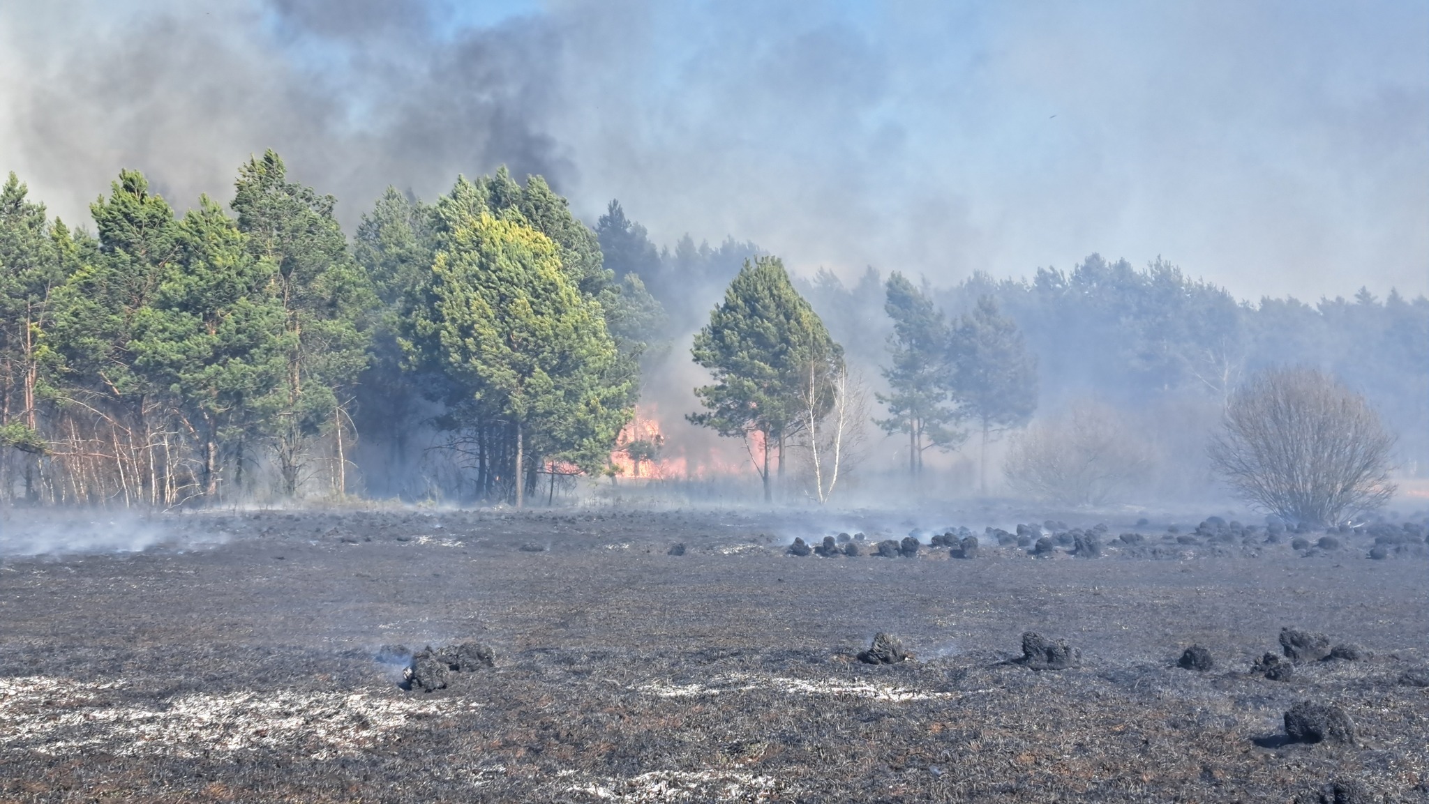 Duży pożar pod Wyszkowem. W akcji ponad 130 strażaków
