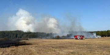 Duży pożar pod Wyszkowem. W akcji ponad 130 strażaków