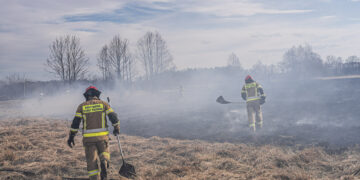 Tragiczny finał pożaru traw w miejscowości Szaflary