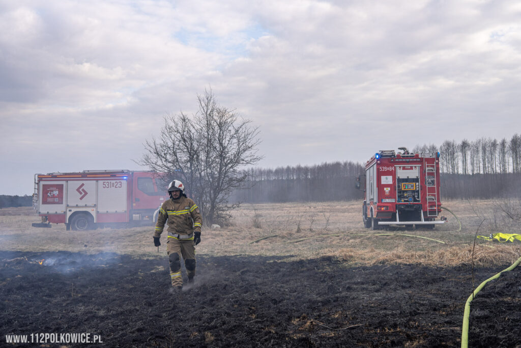 Pożar traw i lasu pod Nową Wsią Lubińską. W akcji samoloty gaśnicze