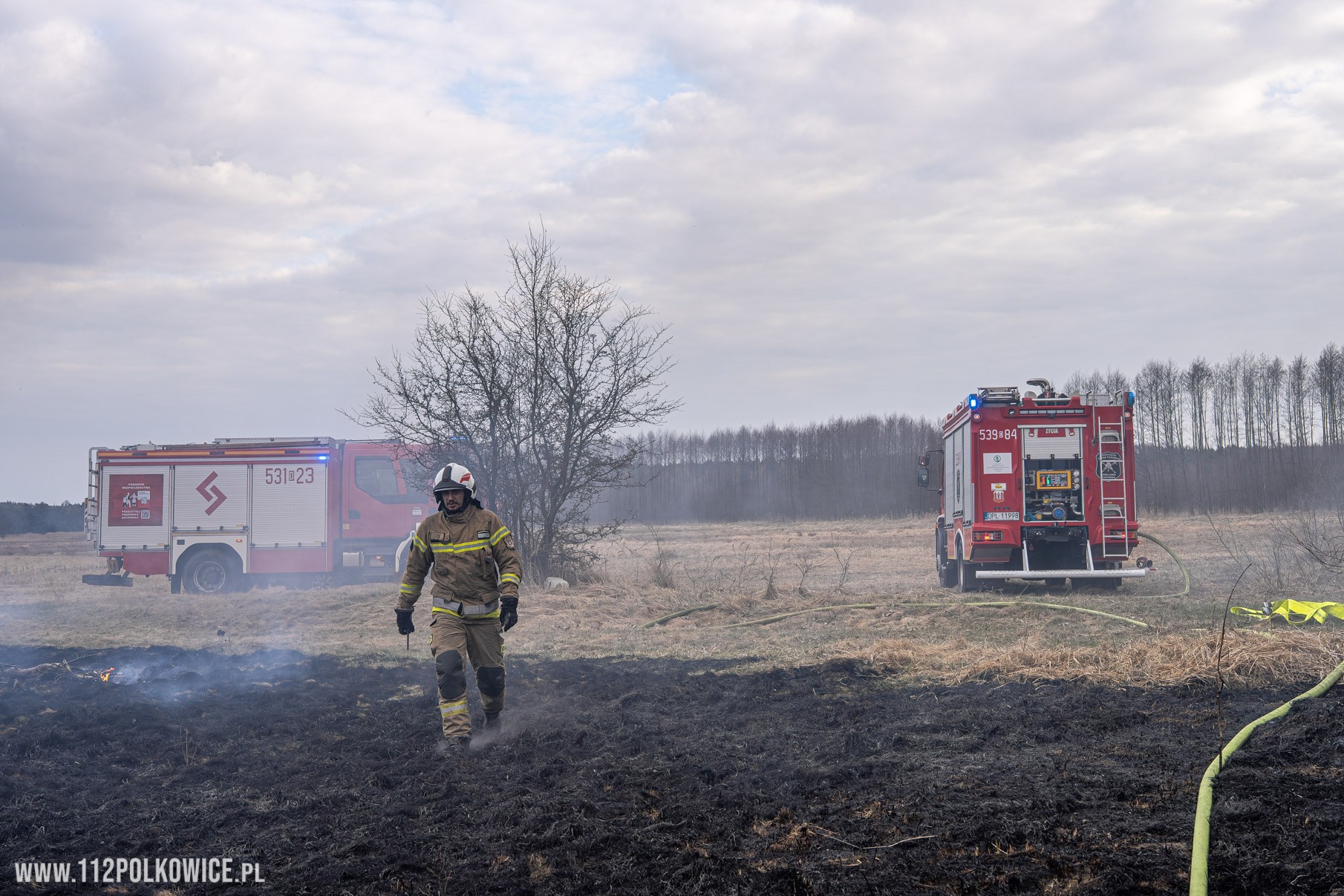 Pożar traw i lasu pod Nową Wsią Lubińską. W akcji samoloty gaśnicze