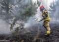 Pożar traw i lasu pod Nową Wsią Lubińską. W akcji samoloty gaśnicze