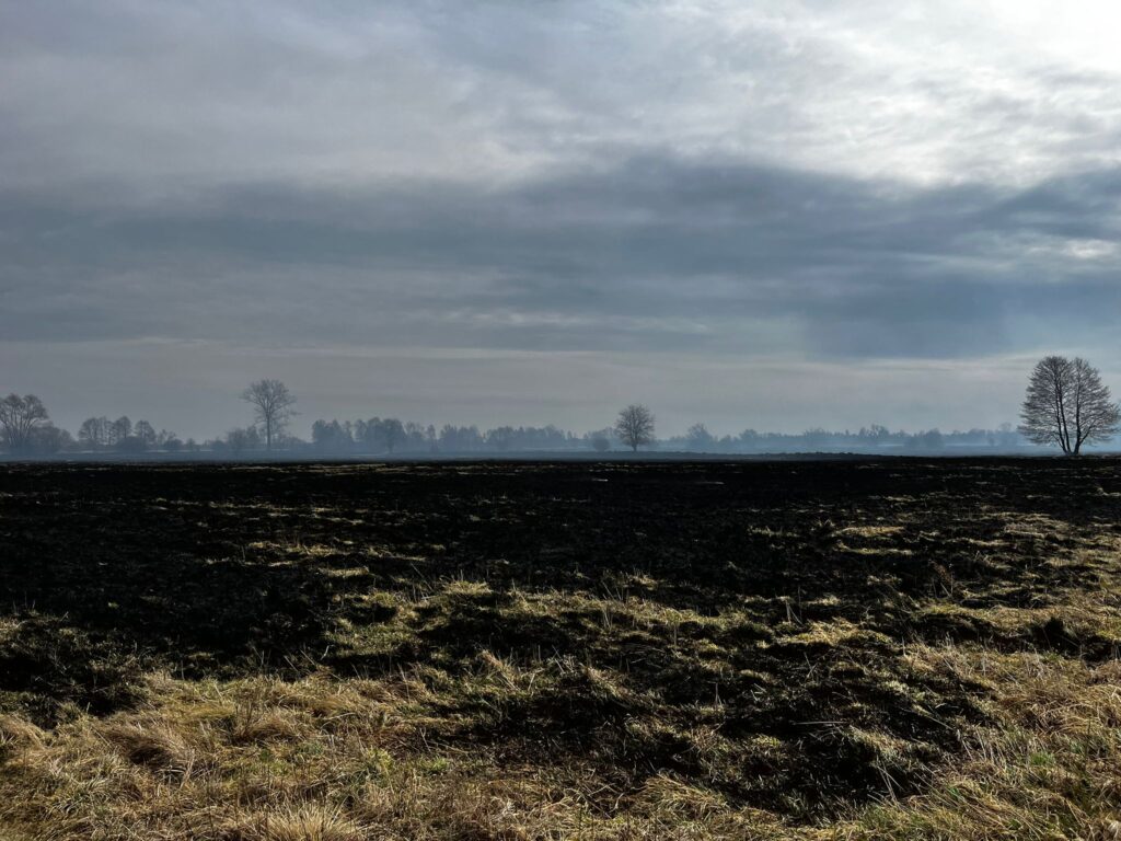 Duże pożary traw pod Częstochową. Trwa walka z ogniem