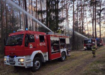 Leśne ćwiczenia strażaków powiatu chodzieskiego