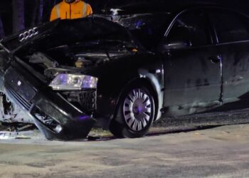 Tragedia na DK50. Zginęła 11-letnia dziewczynka