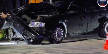 Tragedia na DK50. Zginęła 11-letnia dziewczynka