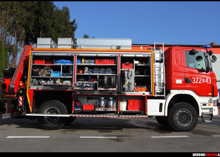 foto. Grzegorz Fortuna