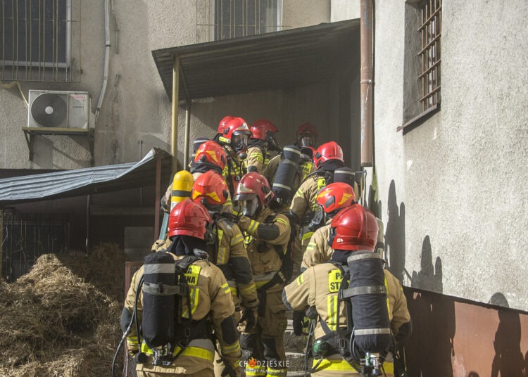 (C)PETERWRIGHT_0829027580