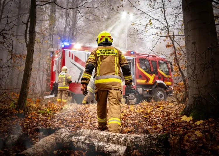 foto. Kamil Kobylarczyk