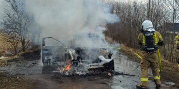 Pożar samochodu elektrycznego w Dębogórzu