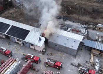 Pożar suszarni drewna w Żabieńcu. W akcji ponad 20 zastępów [FILM]